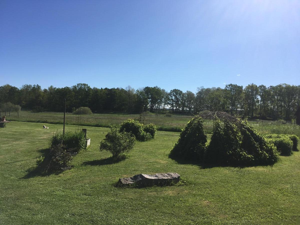 Liten Stuga Mitt I Naturen Pa Kinnekulle Hällekis Exterior foto
